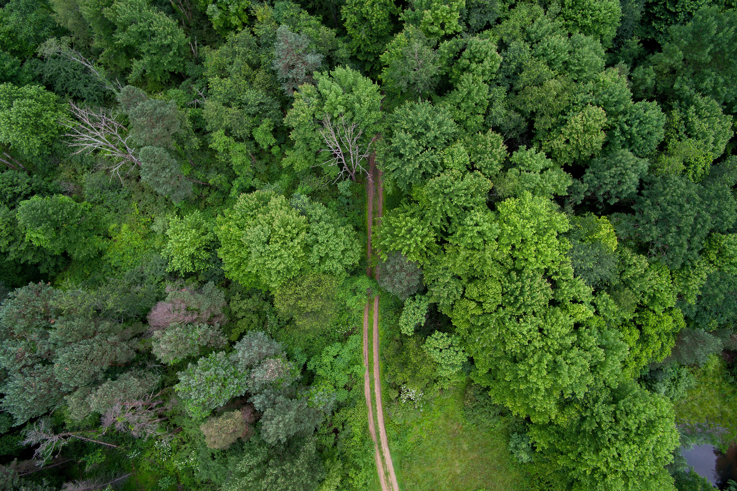 Sylvagri - Ventes de propriétés forestières - Nos ventes en cours - Belgique, Luxembourg, France