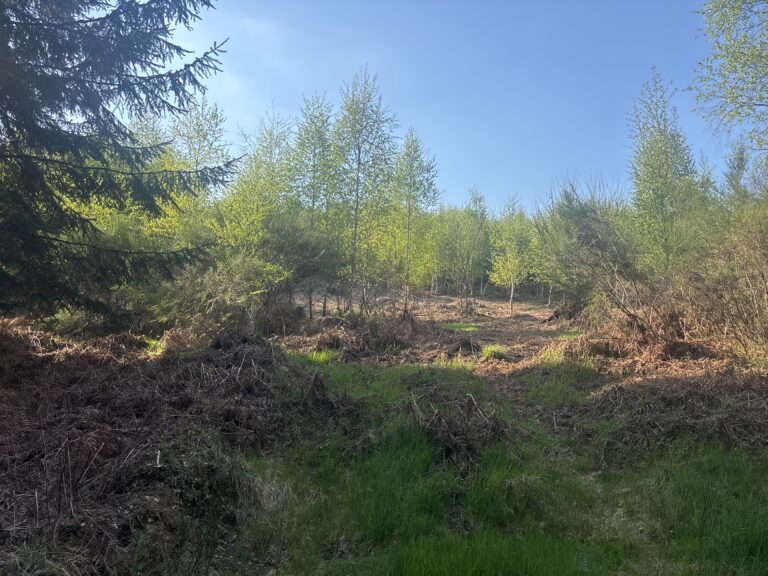 Lot_II_5B_1