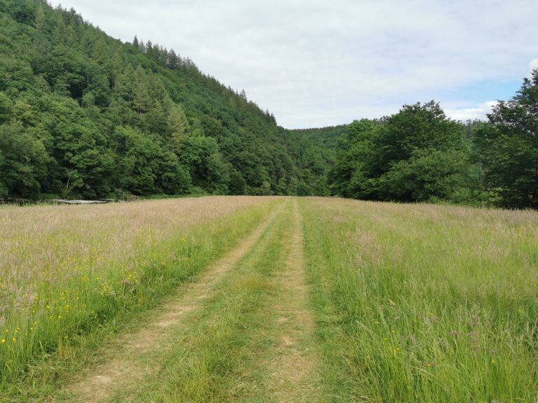 IMG_20220529_174009