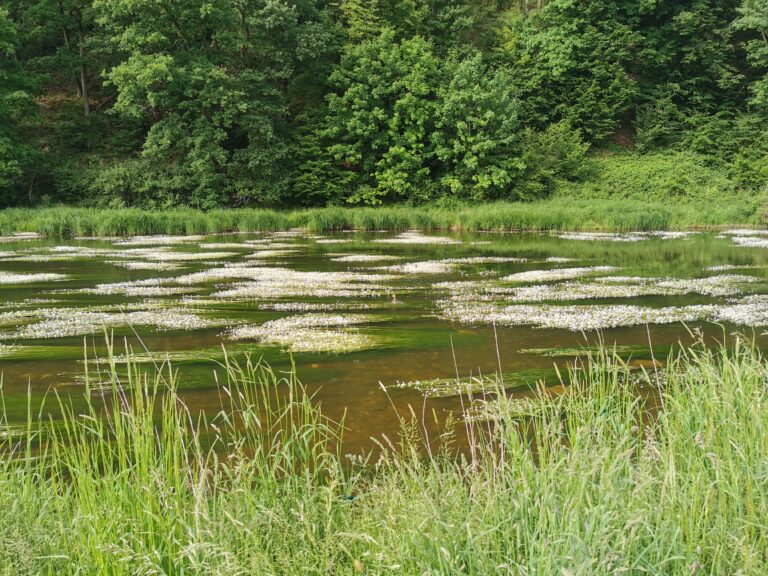 IMG_20220529_174406