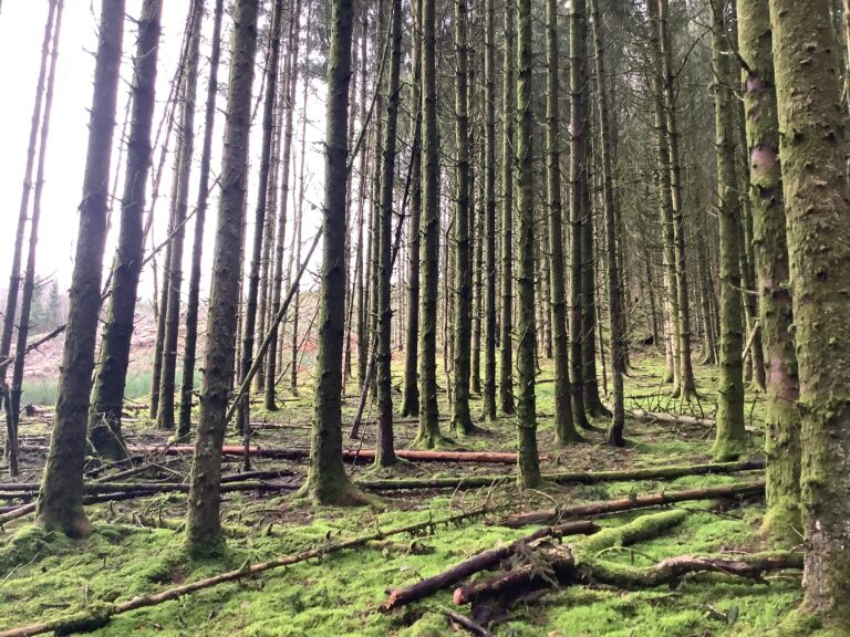 parcelle_1364Y d'Aubreby